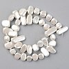Spray Painted Natural Freshwater Shell Beads Strands SHEL-S276-89D-2