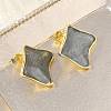 Brass Enamel Stud Earrings for Women KK-CBA760A-07G-02-2