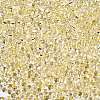 6/0 Baking Paint Transparent Fringe Glass Seed Beads X1-SEED-N006-06B-3