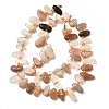 Natural Moonstone Beads Strands G-Z091-A14-3