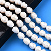 Natural Cultured Freshwater Pearl Beads Strands PEAR-N012-10C-2