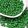 Baking Paint Glass Seed Beads X1-SEED-B001-02A-05-1