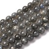 Natural Labradorite Beads Strands G-H326-01-8mm-2