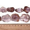 Natural Purple Phantom Quartz/Purple Lodolite Quartz Slice Beads Strands G-N362-11A-01-5