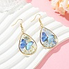 Transparent Epoxy Resin Dangle Earrings EJEW-JE07205-02-1