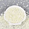 FGB Grade A Glass Round Bugle Beads SEED-Q040-06A-03-1