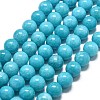 Natural Malaysia Jade Beads Strands G-L645-A01-14mm-24-1