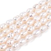 Natural Cultured Freshwater Pearl Beads Strands LS-PEAR-N012-04S-2