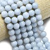 Natural Malaysia Jade Beads Strands G-L645-A01-10mm-16-3