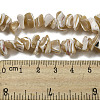 Natural Trochus Shell Beads Strands SSHEL-H072-09-4