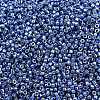 MIYUKI Delica Beads X-SEED-J020-DB2517-2