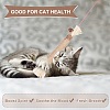 Gorgecraft 3 Pcs 3 Styles Wood Chew Sticks Cat Teeth Cleaning Chew Toy AJEW-GF0003-49-4