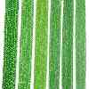 Electroplate Glass Beads Strands EGLA-A044-T3mm-A11-2