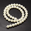 Shell Beads Strands SSHEL-E571-39-4mm-2