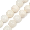 Natural White Shell Beads Strands BSHE-U001-01B-1