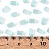 Drawbench Style Glass Seed Beads SEED-N008-10H-4