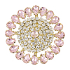 Brass Rhinestone Applique DIY-FG0009-88C-1