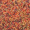 MIYUKI Delica Beads SEED-MY11-DB2063-3