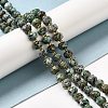 Natural African Turquoise(Jasper) Beads Strands G-P508-A06-01-2