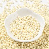 Baking Paint Glass Seed Beads SEED-H002-I-A518-2