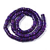 Natural Freshwater Shell Beads Strands SHEL-Q024-001E-2