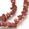 Spray Painted Freshwater Shell Beads Strands BSHE-L037-08-2