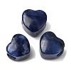Natural Sodalite European Beads G-C269-01M-1