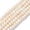 Natural Cultured Freshwater Pearl Beads Strands PEAR-I007-07L-06-2