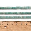 Natural Amazonite Beads Strands G-P575-B41-4x2mm-5