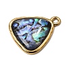 304 Stainless Steel & Natural Paua Shell Pendants SH-CBA7184-01E-G-2