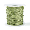 100M Segment Dyed Round Polyester Braided Cords OCOR-N009-03B-06-1