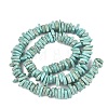 Natural Howlite Beads Strands G-A302-A01-03-3