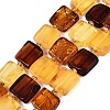 Natural Amber Beads Strands G-N371-15B-01-2