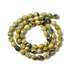 Natural Yellow Turquoise(Jasper) Beads Strands G-K376-F04-01-3