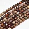 Natural Petrified Wood Round Bead Strands G-F266-08-6mm-1