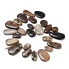 Natural Petrified Wood Beads Strands G-C253-06-3