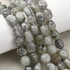 Natural Labradorite Beads Strands G-P623-A03-01-1
