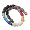 Fish Dyed Natural Lava Rock Beads Strands G-O126-01A-14-2