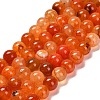 Natural Agate Beads Strands G-B079-A04-03C-1