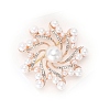 Alloy Rhinestone Brooch for Backpack Clothes PW-WG040D1-01-3