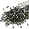TOHO 6/0 Round Beads SEED-TR06-0029-1