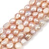 Natural Cultured Freshwater Pearl Beads Strands PEAR-P064-20K-01B-2