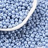 6/0 Glass Seed Beads SEED-L011-08A-23-1