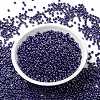 MIYUKI Round Rocailles Beads SEED-G008-RR0434-2