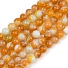 Handmade Lampwork Beads Strand LAMP-B056-10mm-03-2