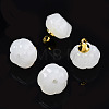 Glass Charms GLAA-N036-04B-2