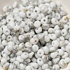 Baking Paint Glass Seed Beads SEED-F006-01A-09-3