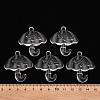 Transparent Acrylic Pendants TACR-T024-01B-205-4