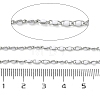 304 Stainless Steel Enamel Twisted Chains STAS-R100-40P-06-2