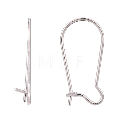 925 Sterling Silver Hoop Earrings Findings STER-S002-55A-01-1